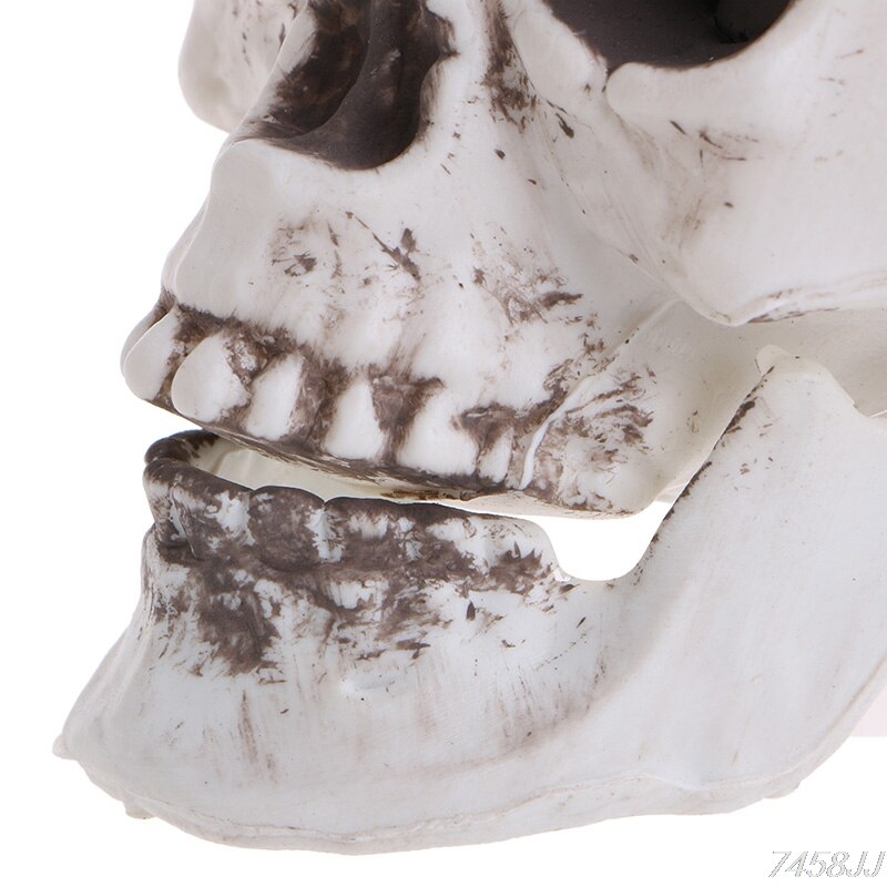 Mini crâne humain en plastique, accessoire de décoration de tête de squelette, ornement de bar à café pour Halloween, directe G22