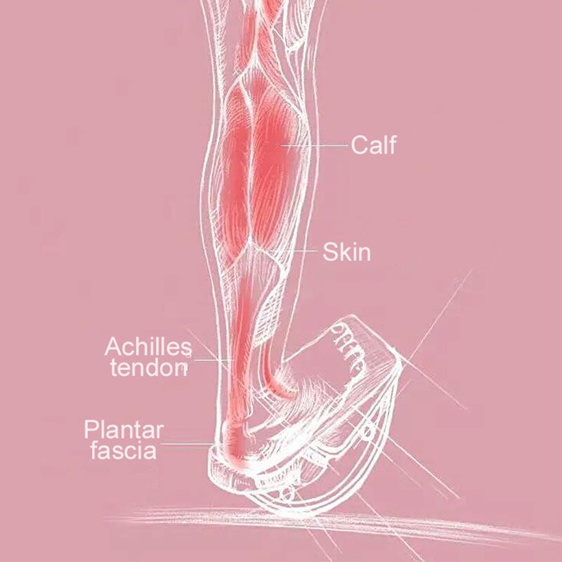 Stretch Board Gym Fitness Equipment Rocker Bodybuilding Workout Leg Muscle Massage Stretch Women Balance Board Exercise At Home