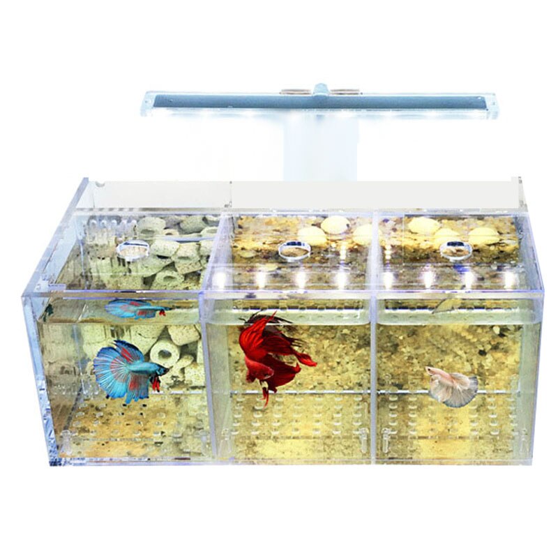 Aquarium LED Acrylic Betta Fish Tank Set Mini Desktop Light Water Pump Filters-Triple: Default Title