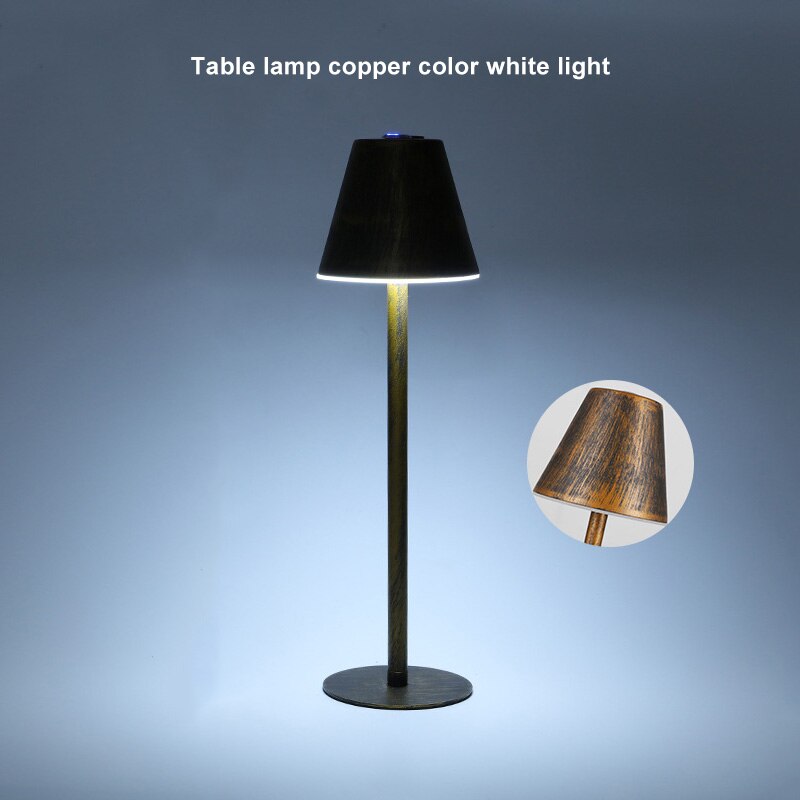 Nordisk jern skrivebordslampe ledet ta på dimming metall øyebeskyttelse bordlampe Kunst atmospher bar restaurant hotell soverom lys: Bronse kjølig hvit / Usb-kontakt