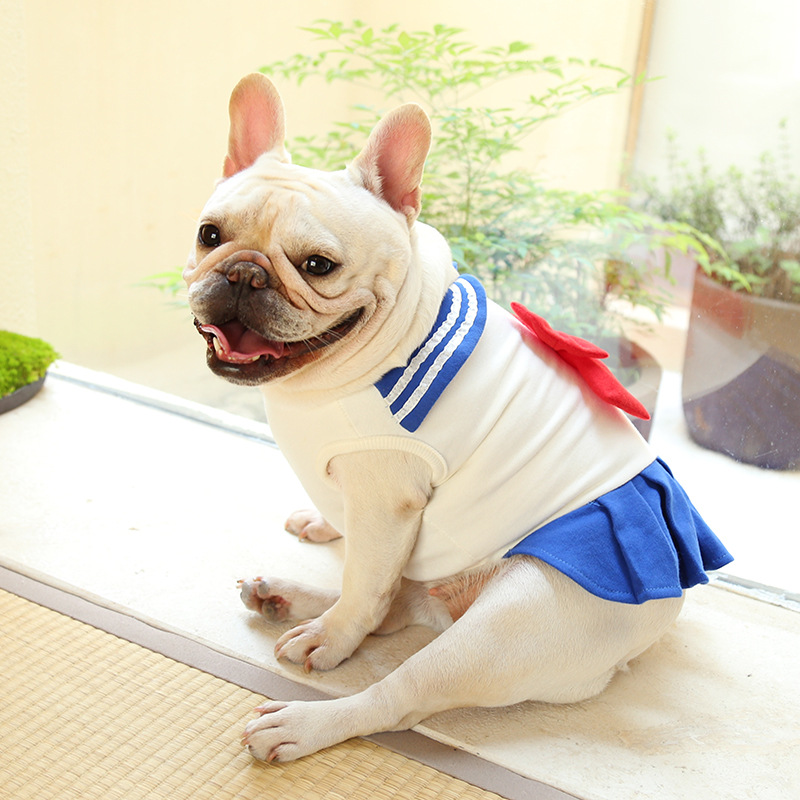 Robe de bouledogue français, Bichon, caniche, Schnauzer, carlin, chien, vêtements Welsh, Corgi, Shiba, Inu anglais, robes pour animaux de compagnie, jupe XS