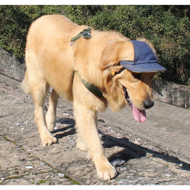 Baseball store hundekapsler åndbar blå jeans kæledyr hund solhatte til store hunde kæledyrsforsyning sl