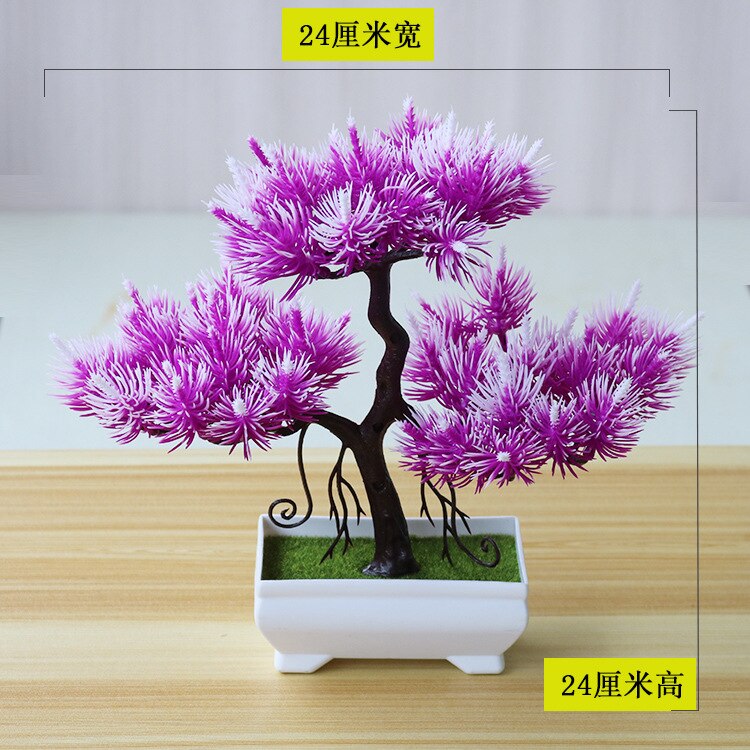 japanische zelkove bonsai Bonsai tree main image 1