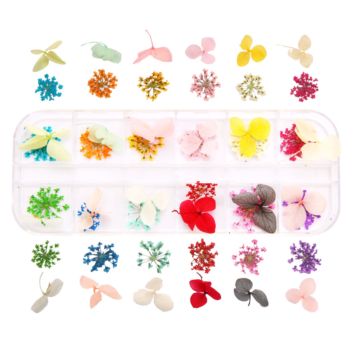 1 Doos Gedroogde Bloemen Droge Planten Voor Hars Mallen Vullingen Epoxy Hars Hanger Ketting Sieraden Maken Craft Diy Nail Art decoratie: Style13