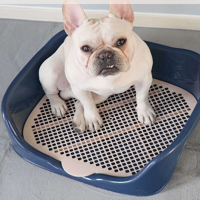 2 Size Draagbare Kat Hond Wc Plastic Training Kitten Konijn Doggy Potten Wastafel Voor Pet Puppy Indoor Poepen Benodigdheden Product