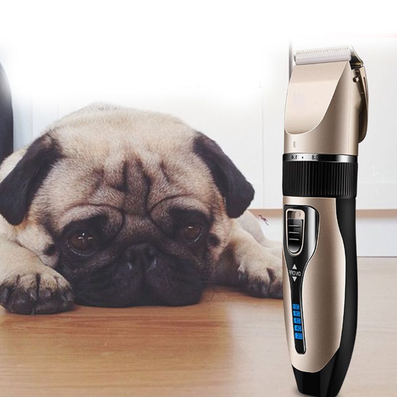 Elektrische hondentondeuse, unisex, hondentrimmer, dierenhaarverwijderaar, oplaadbare verzorgingstool, kam, schaar