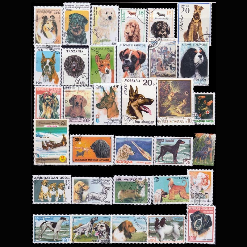 Hunde , 50 stk/parti, alle forskellige fra mange lande, ingen gentagelse, ubrugte frimærker til indsamling
