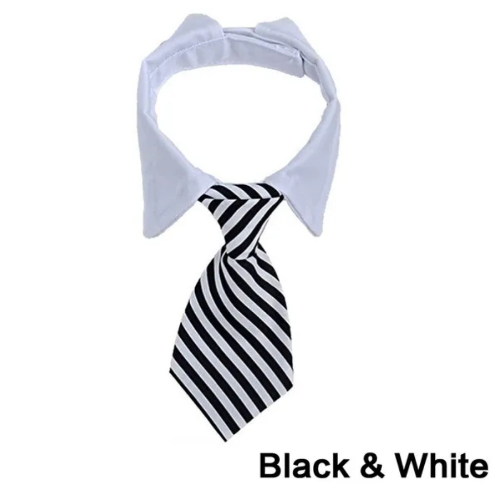 Cravate à nœud papillon pour chiot, cravate réglable pour animaux de compagnie, collier formel pour chien pour petits chiens et chats, cravates de toilettage pour chiots: S / WHITE