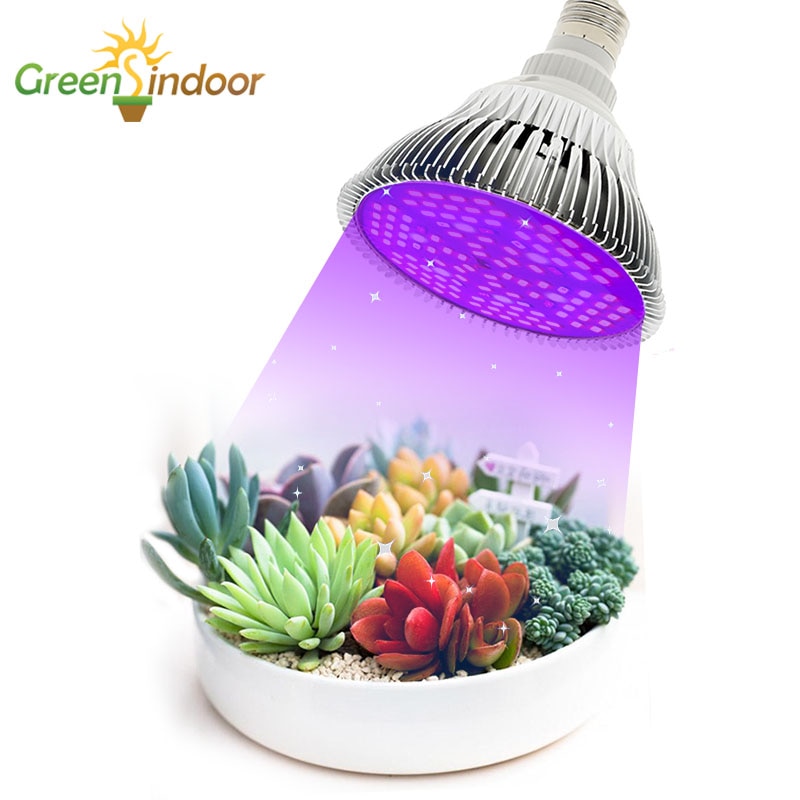 Indoor LED Grow Light E27 Lampen 80W 50W 30W 10W Volledige Spectrum Phyto Lamp Voor Planten verlichting Voor Bloemen Vetplanten Kamerplanten