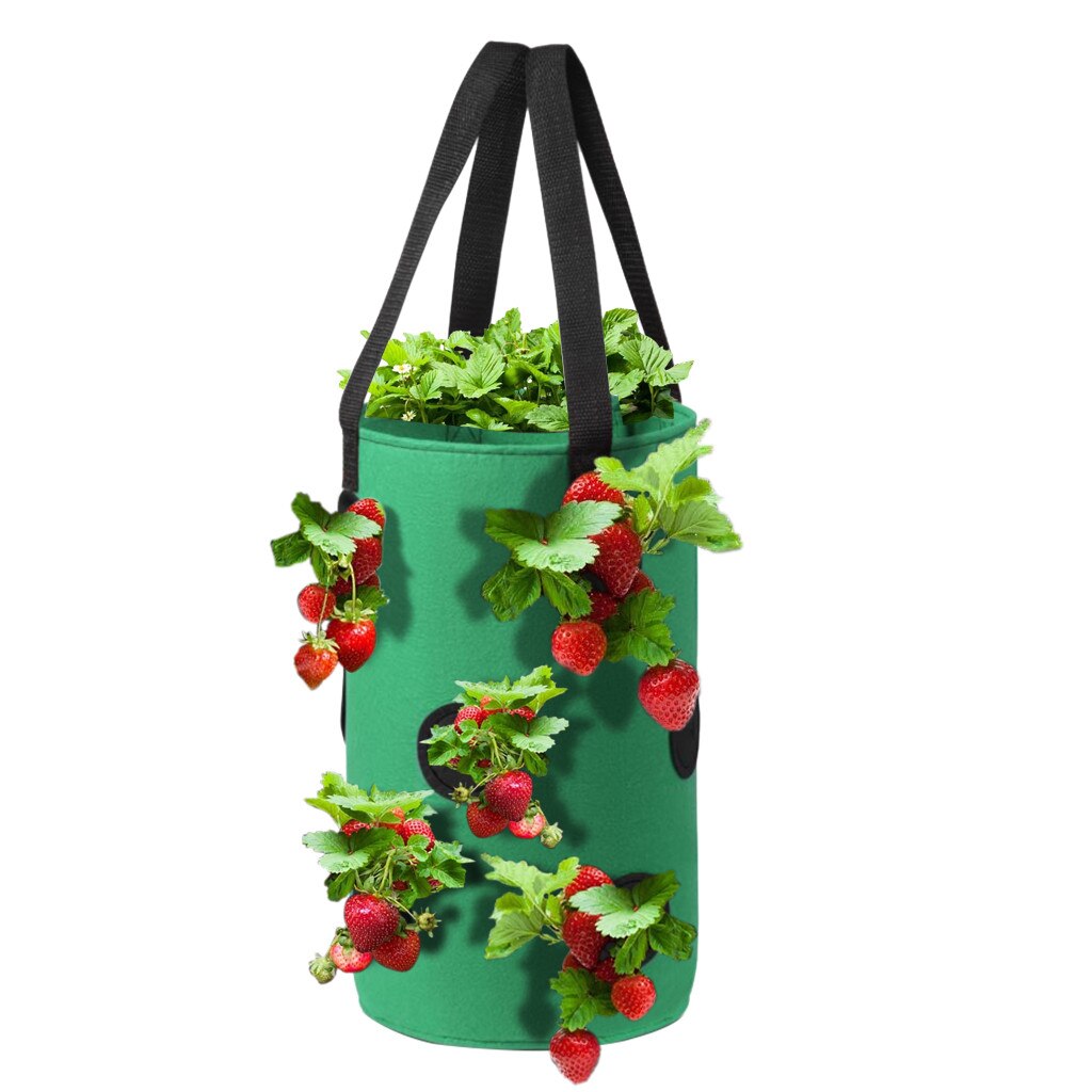 11 Hole Potato Strawberry Planter Bags For Growing Potatoes Outdoor Vertical Garden Hanging Open Vegetable Planting Grow Bag: Green