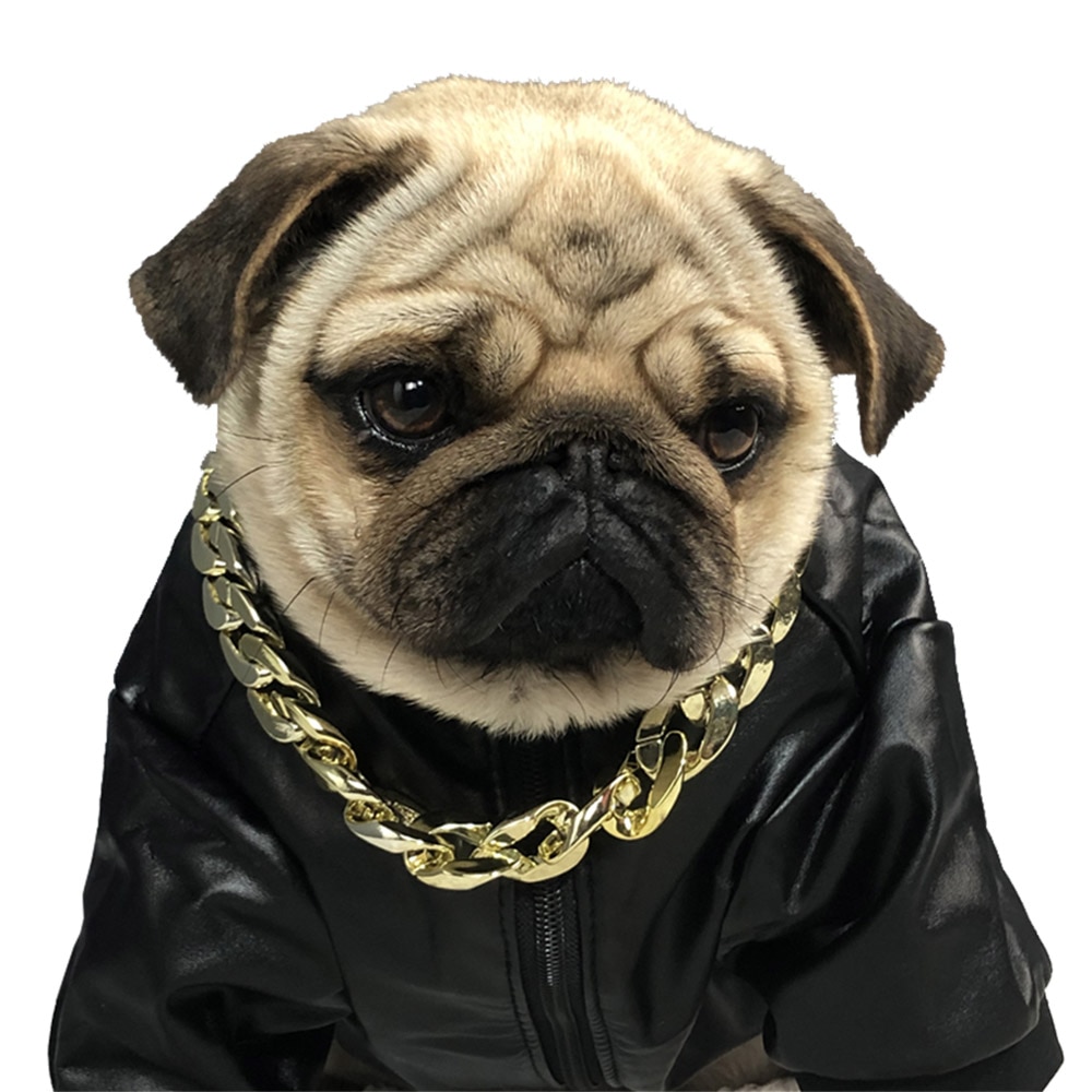 Collier en chaîne plaqué or pour animal de compagnie, pour chien, bouledogue français, à libération rapide, collier pincé, drôle, déguisement, accessoires pour animaux de compagnie
