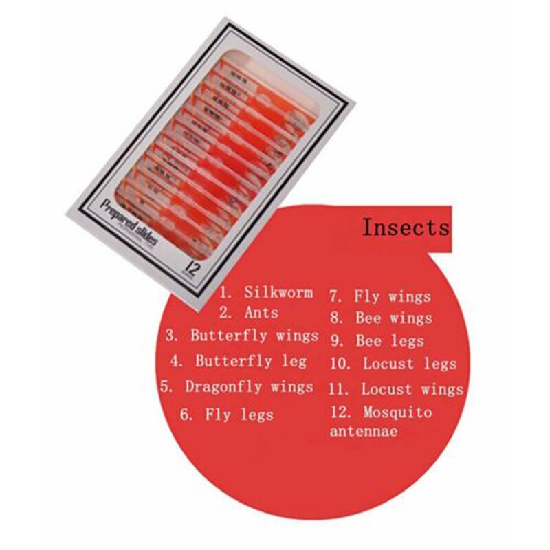 48Pcs Prepared Plastic Microscope Slides Biological Prepared Microscope Specimen Slide For Children Student Enlighten Education