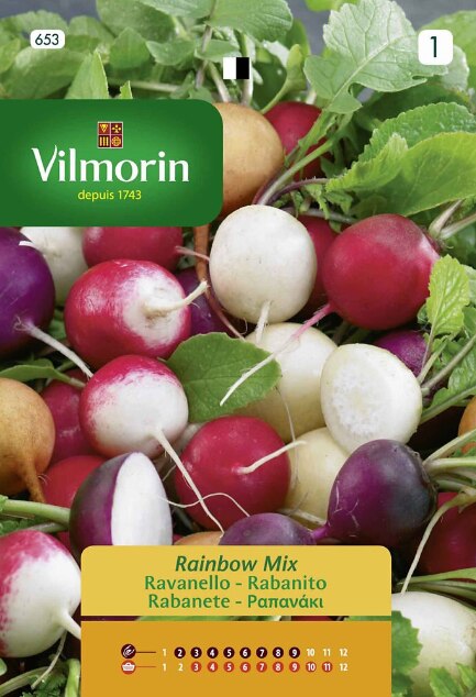 Redo Vilmorin Rabanite Zaad