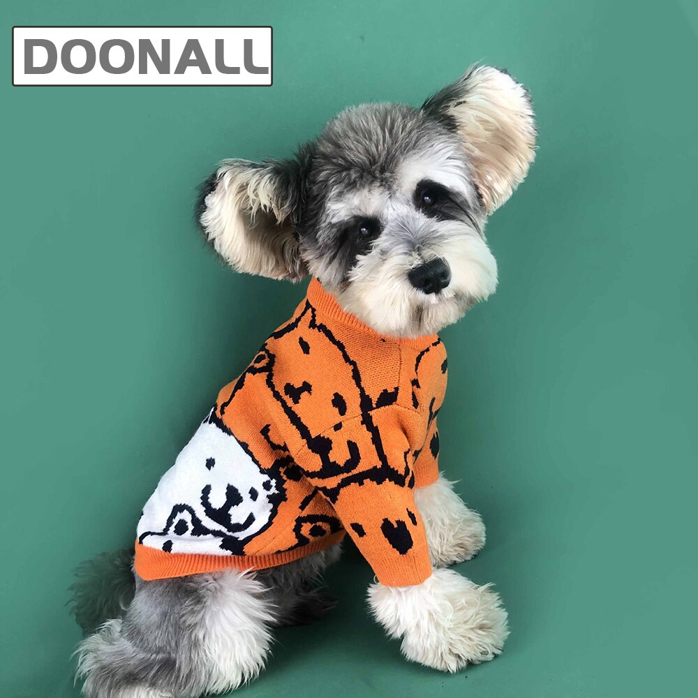 Hond Truien Kostuum Leuke Hond Shirt Oranje Kleding Beer Patroon Stijlvolle Winter Jas Voor Katten Honden Puppy