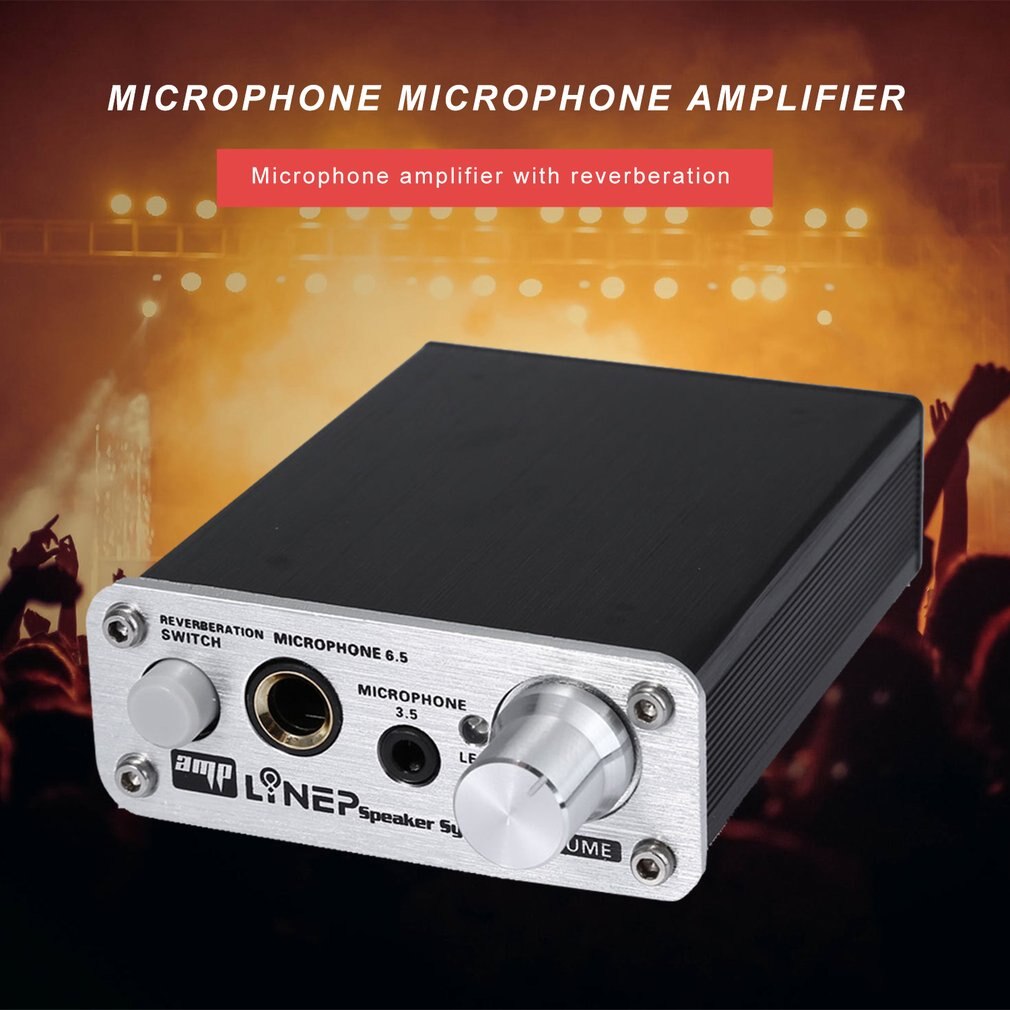 Computer Dual-Path Dynamic Microphone Microphone Amplifier With Reverb Function Amplifier