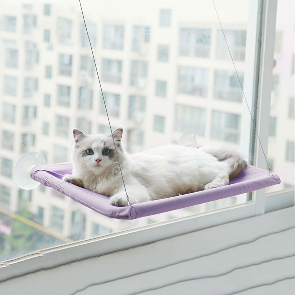 Hamac d&#39;intérieur avec fenêtre pour chat, siège solaire à 360 °, support de repos amovible, étagère permettant de gagner de l&#39;espace, lit pour chat, jusqu&#39;à 38lb: D