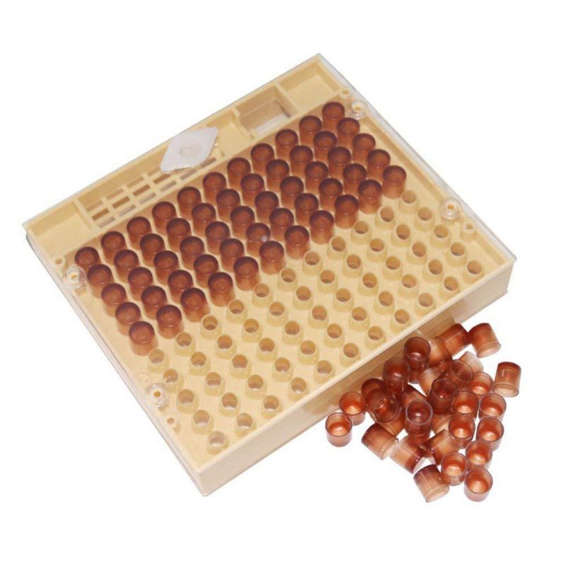 Caja de celda de cría de abejas reina, panales de plástico, jaula de abejas, equipo de apicultura de aislamiento