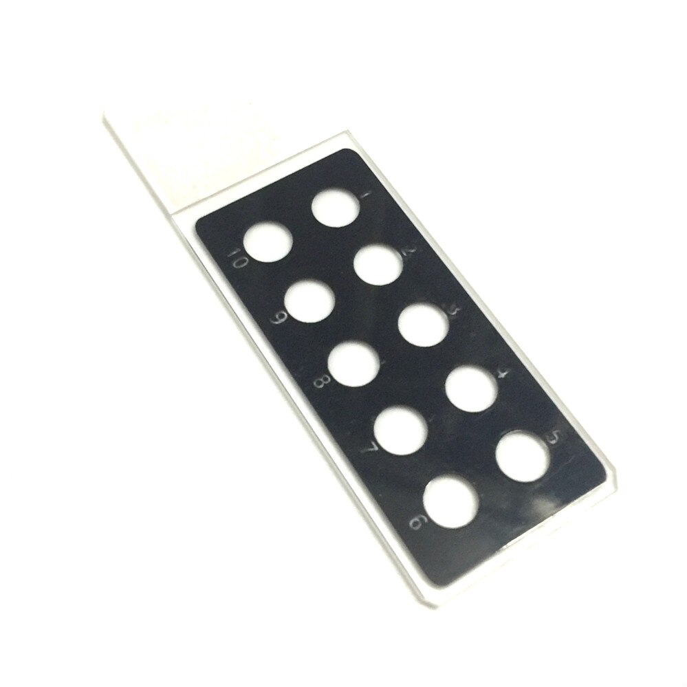 Immunofluorescence In Situ Hybridization Microscope Slides Diagnostic Slide Antigen Porous Slide 10 Well 1''x3'' 5 Pcs