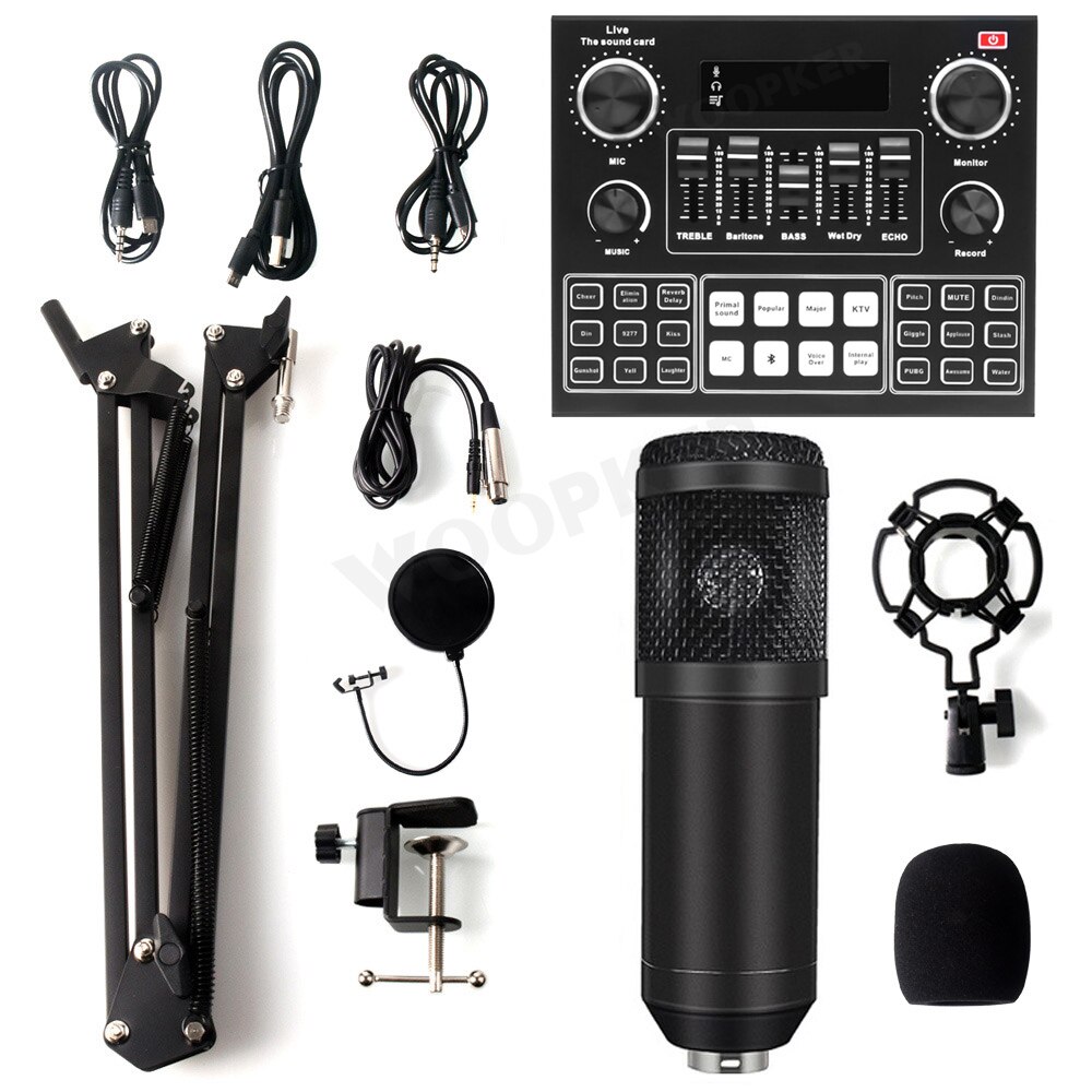 Professionnel Condensador Microfone Bm 800 Microphone with V9 Sound Card for Gaming PC Karaoke Studio Equipment USB Microfono: Black V9