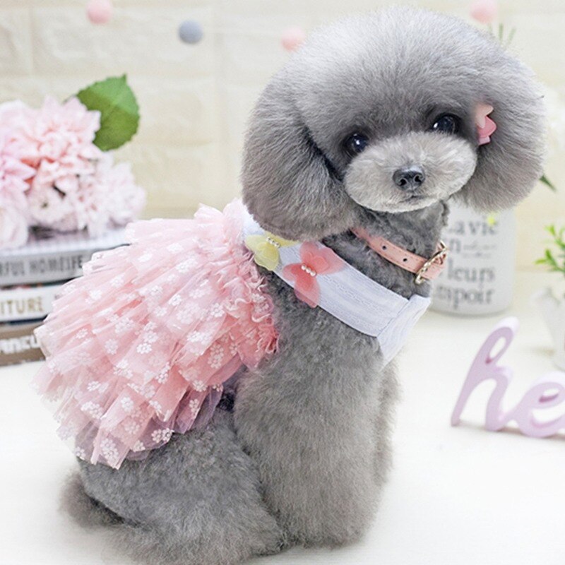 zwierzę domowe Spódnica pies ubranie zwierzę domowe ubranie Miś Niedźwiedź wiosna oraz lato dwa motyl podwiązka Spódnica impreza sukienki dla psy Pomeranian