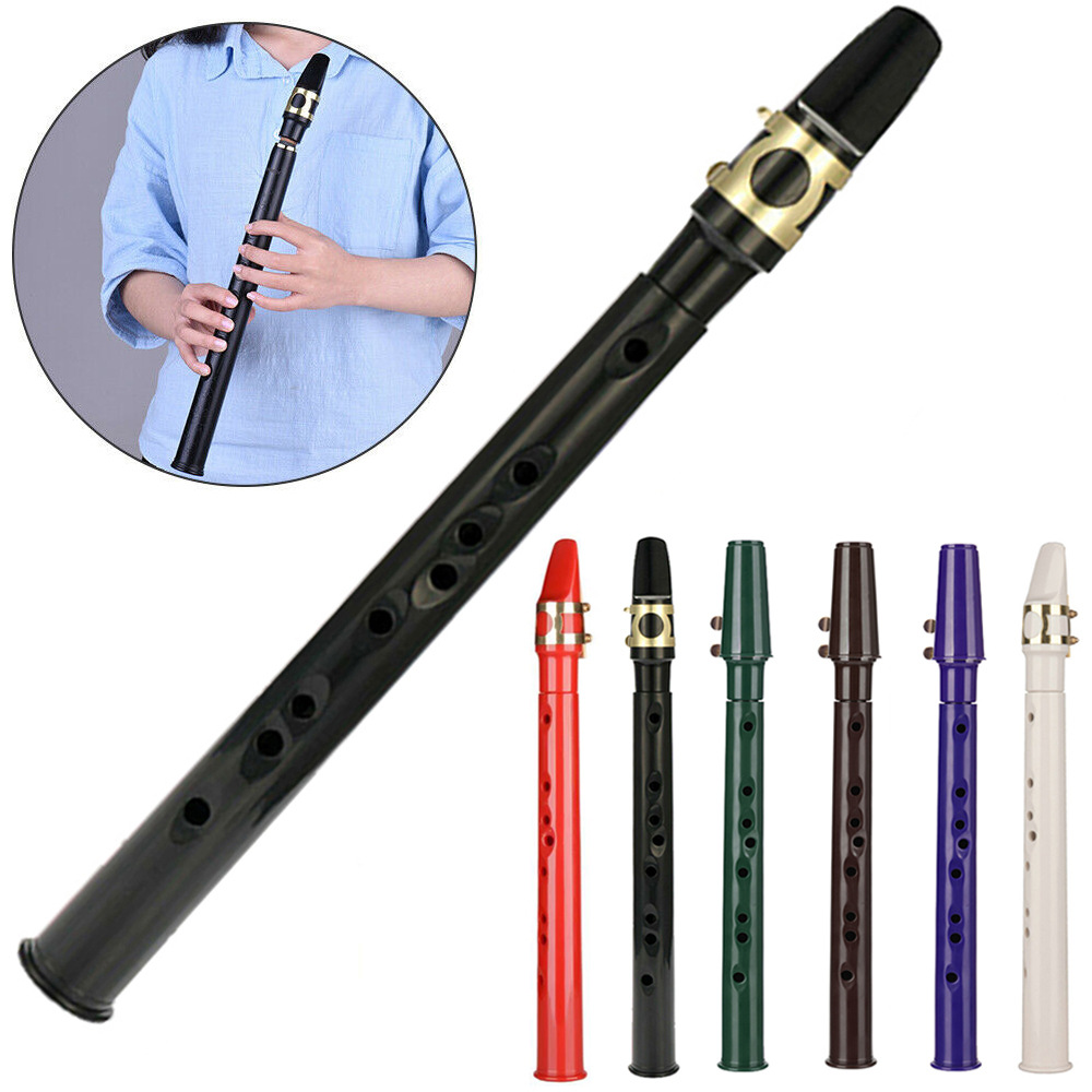 C Key Pocket Sax Mini Draagbare Saxofoon Kleine Saxofoon Met Draagtas Houtblazers Instrument Muzikale Accessoires