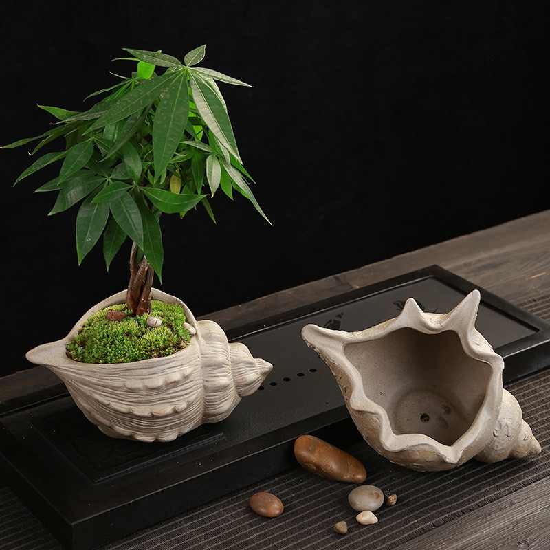 Coarse pottery flower pot shell Shape Ceramic Succulent Plant Pot Holder Fairy Garden Cactus Flower Pots Planter