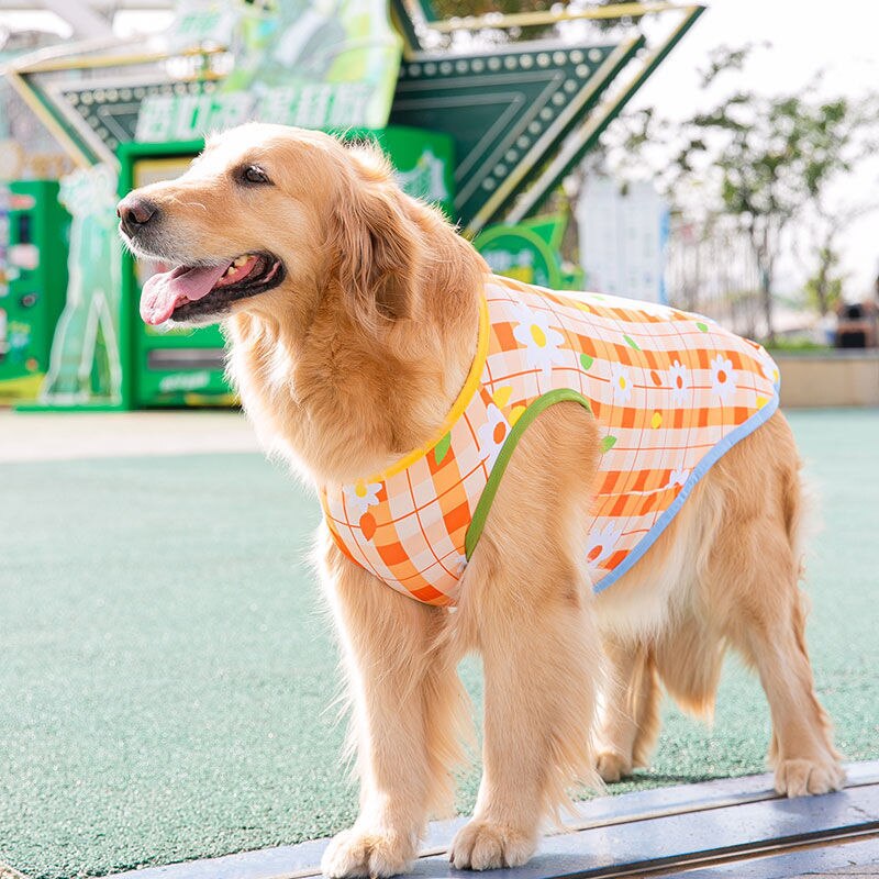 Big dog summer thin section full printed vest Labrador golden retriever summer style medium large dog summer clothes: 1 / 5XL