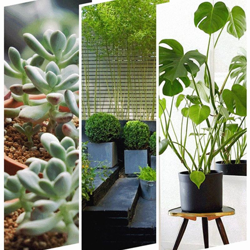 Garden Camping Outdoor Weeding Spade Outdoor Traveling Prospecting Trowel Gardening Bonsai Shove Digging Loosening Gadget