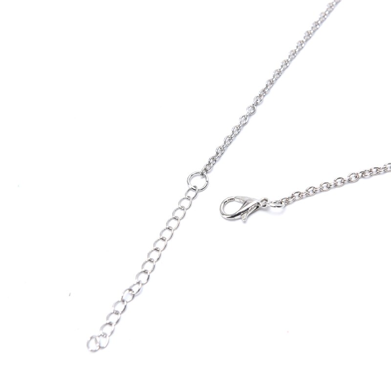 Heart Cremation Necklace for Ashes Jewelry Memorial Pet Urns Heart-shaped Pendant Memory Grandpa Necklaces Bag