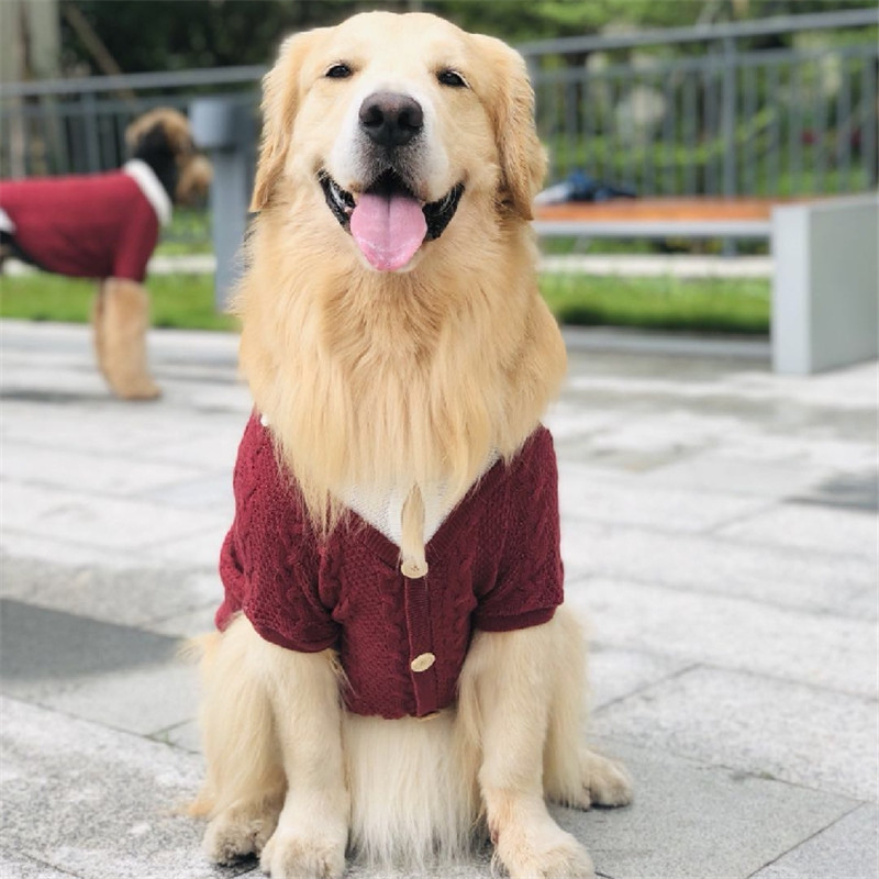 Grote Honden Winter Kleding Mode Trui Voor Husky Labrador Samojeed En Andere Grote Honden