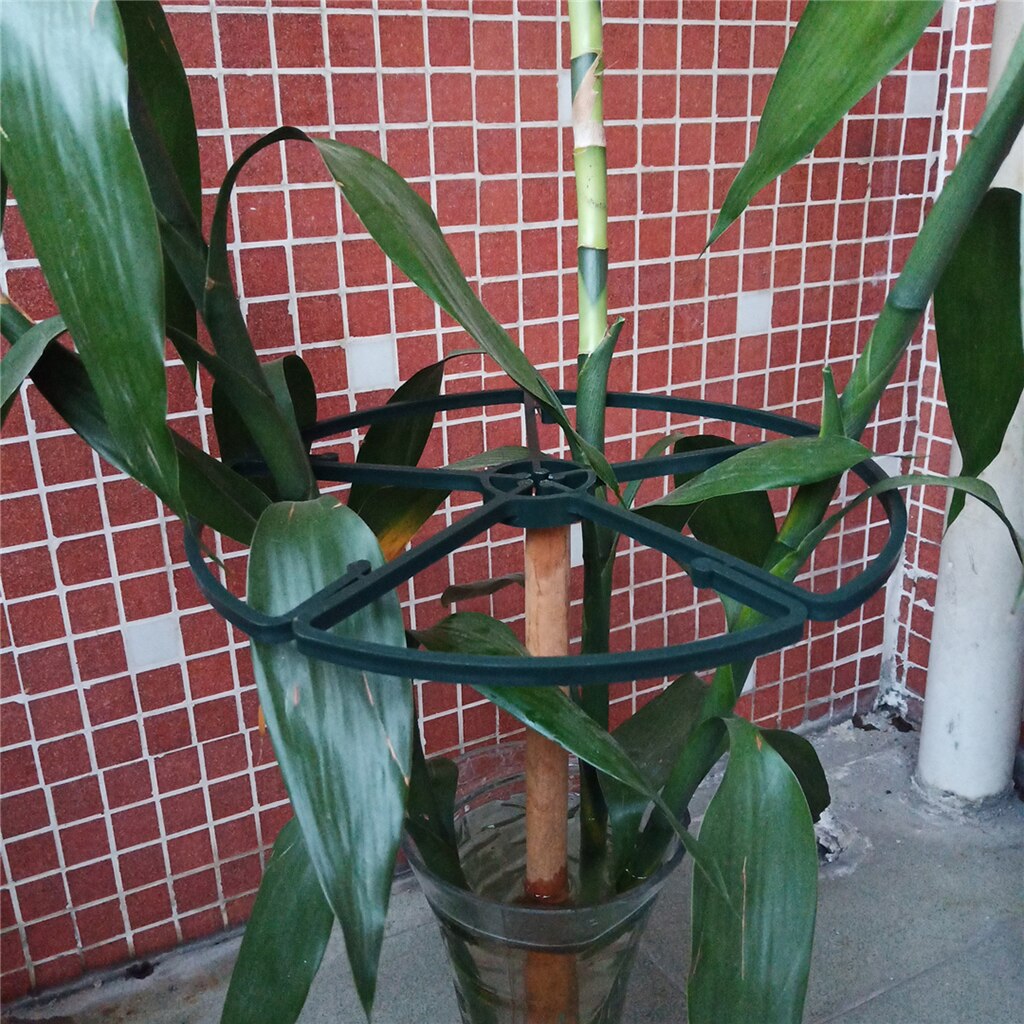 2 Stuks 10in Verstelbare Indoor Plant Ondersteuning Ring Tall Plant Ondersteuning Ring