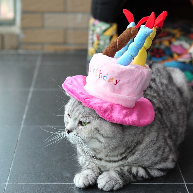 Grattis på födelsedagen husdjur katt hatt mössa för katt julfestival husdjur tillbehör söta hattar produkter för katt kattunge huvudbonader tillbehör