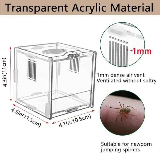 Caja de alimentación de araña acrílica, jaula acrílica transparente para Reptiles pequeños, hábitat, arañas saltadoras, jaulas antiescape para insectos, caja de cría