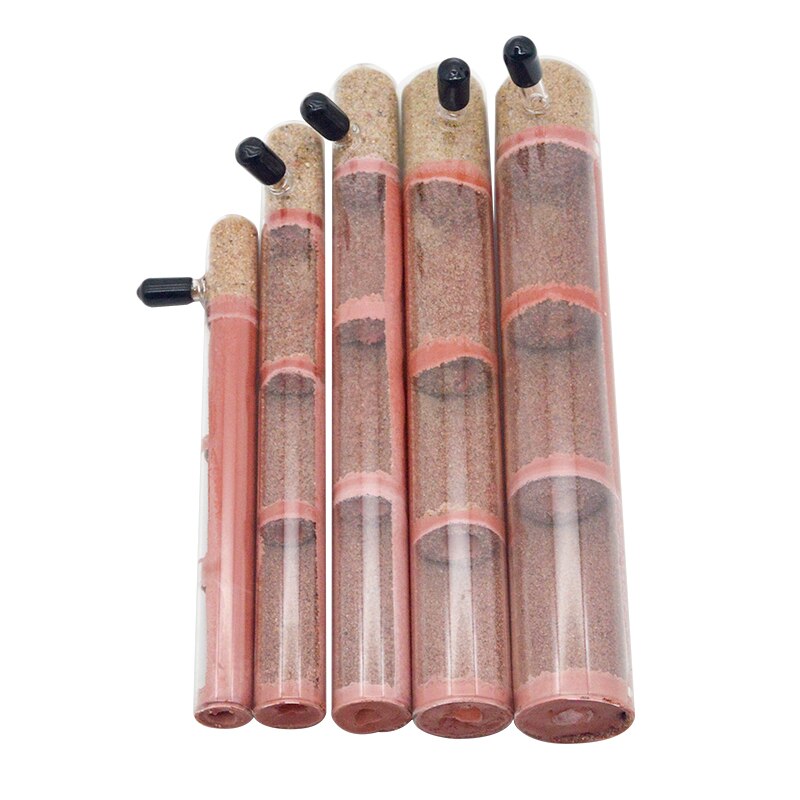 Various Sizes Ecological Ant Farm Bamboo Test Tube Ant Nest Plaster Tube Ant House for Pet Anthill Workshop Villa Queen Ant Home