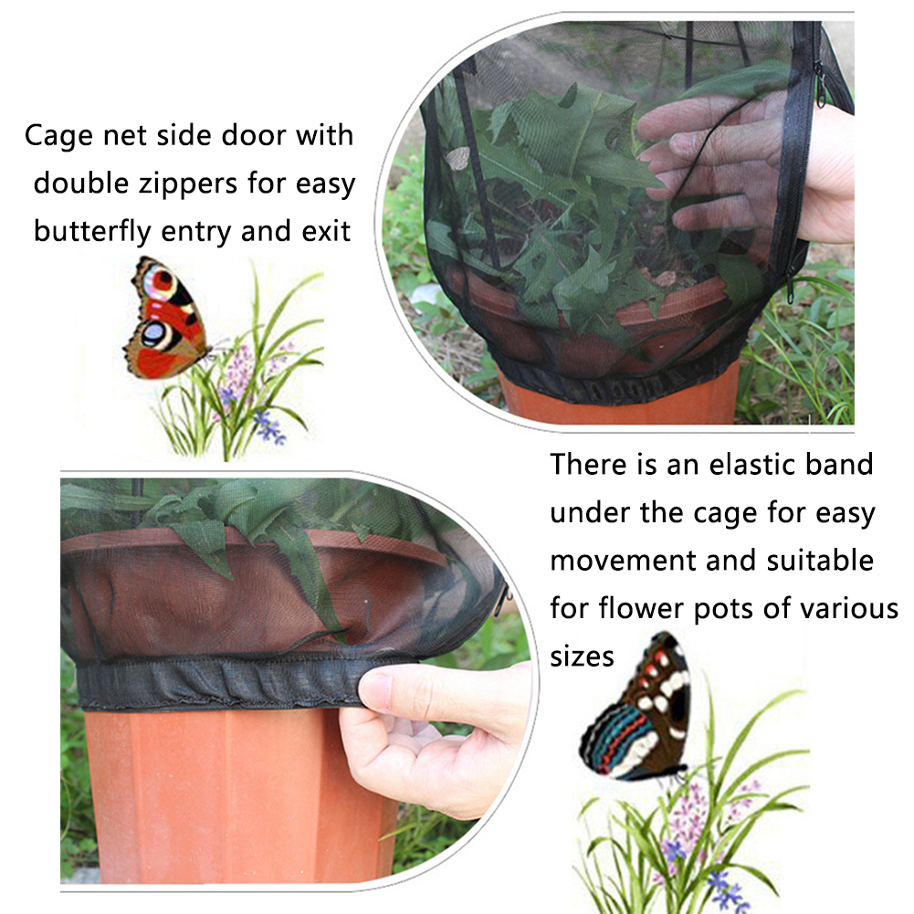 Pot de fleurs Portable Terrarium pour enfants | Cage d'habitat papillon, filet d'alimentation pour insectes, couverture de levage de jardin, plante ornementale, parasol