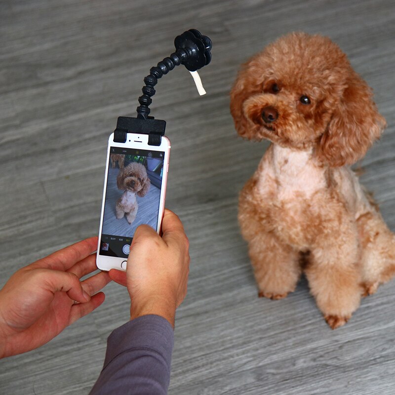 Huisdier Selfie Stick Voor Huisdieren Hond Kat Voor Iphone Samsung Xiaomi Huawei En Meest Smart Telefoon Tablet Zwart/Wit selfie Stick Voor Huisdieren