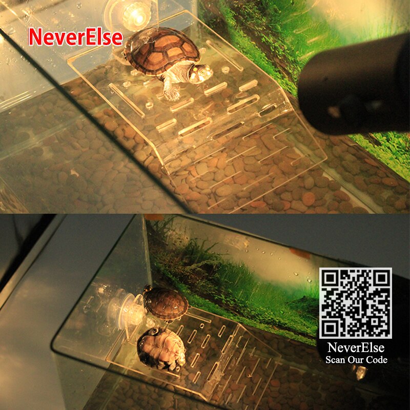 Tartaruga suola posteriore isola galleggiante taiwan Tartaruga Terrazza Acrilico tartaruga Elefante arrampicata acquario stazione di Tavolo in Plastica di acqua