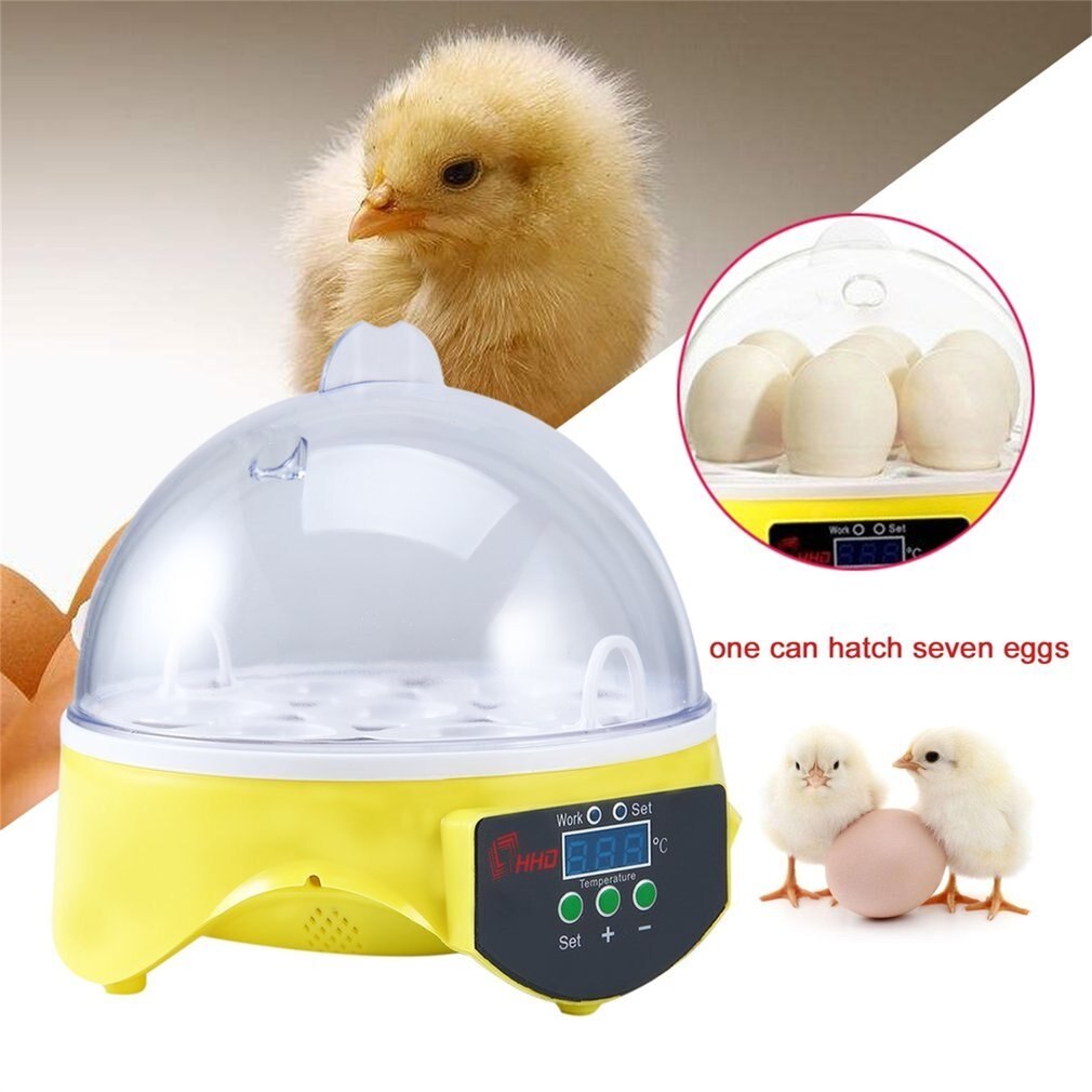 220V Mini 7 Eggs Incubator Plastic Digital Chicken Temperature Control Automatic Incubator Hatcher Incubation Tools Supplies
