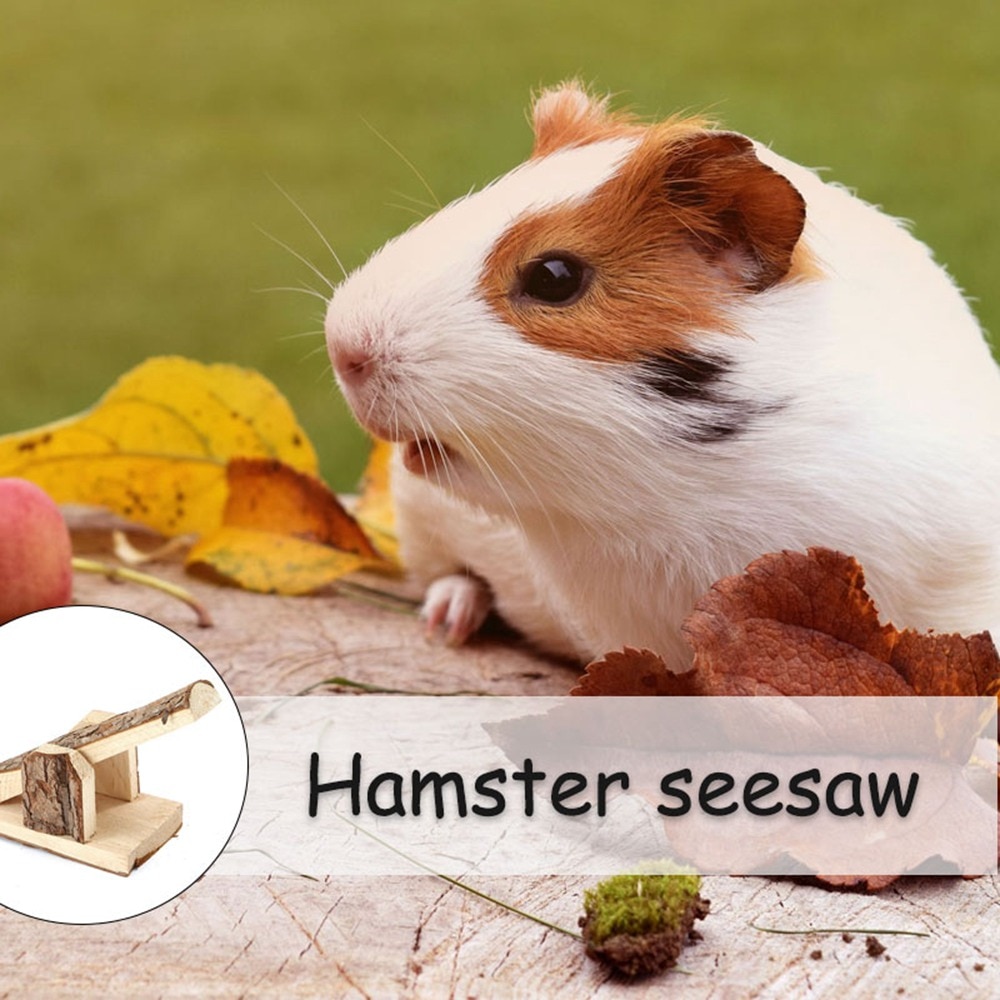 Hout Wip Voor Pet Hamster Grappige Rat Muis Chinchilla Cavia Klein Dier Speelgoed Speelhuis Oefening Speelgoed