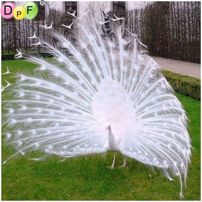 DPF Full Round Diamond 5D DIY Diamond Painting "White peacock" Embroidery Cross Stitch Rhinestone Mosaic Painting Decor