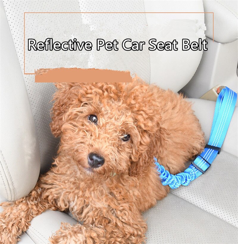 B52 reflecterende pet seat belt nylon hond trekkabel houden huisdier veiligheid in auto jean hond autogordels