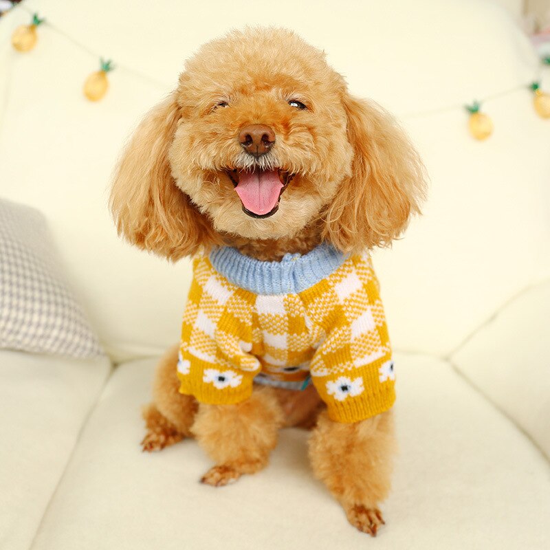 Chandail d'hiver pour chiens | Pull pour chiens, pull pour chiot, manteau de chat, veste en tricot doux, vêtements pour petits moyens et grands chiens, teckel