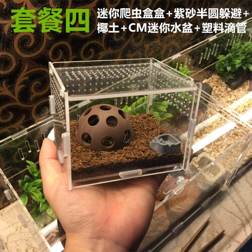 Acrylic Insect Cage with Accessories Spider Lizard Reptile Breeding Box Reptile Terrariums Reptile Home Box Gecko Tortoise House: D