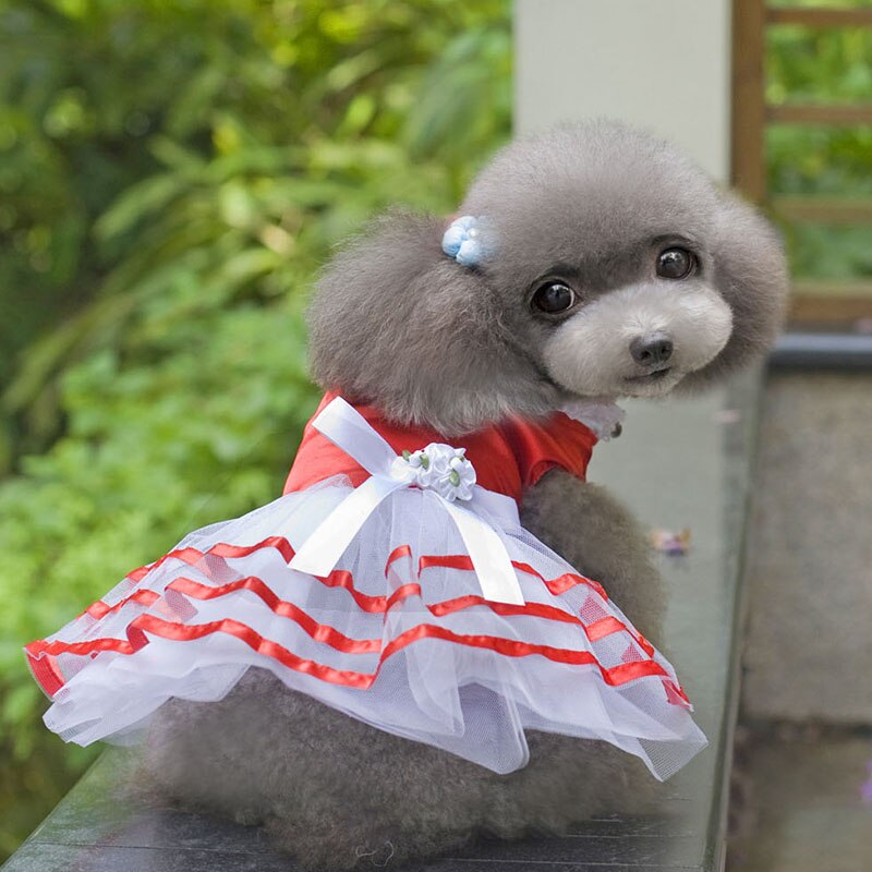 Jupe princesse pour chien, vêtement pour animaux de compagnie, rouge uni, avec nœud ruban en Polyester, robes chics pour filles, printemps/été