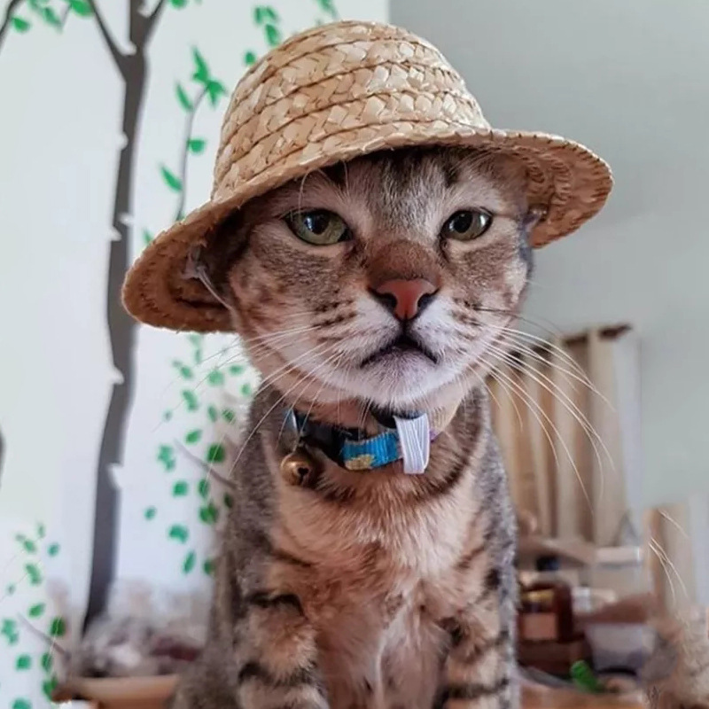 Chapéu de palha para cosplay, moda verão para gato, cachorro, sombrero, feito à mão, de palha, listrado, proteção solar