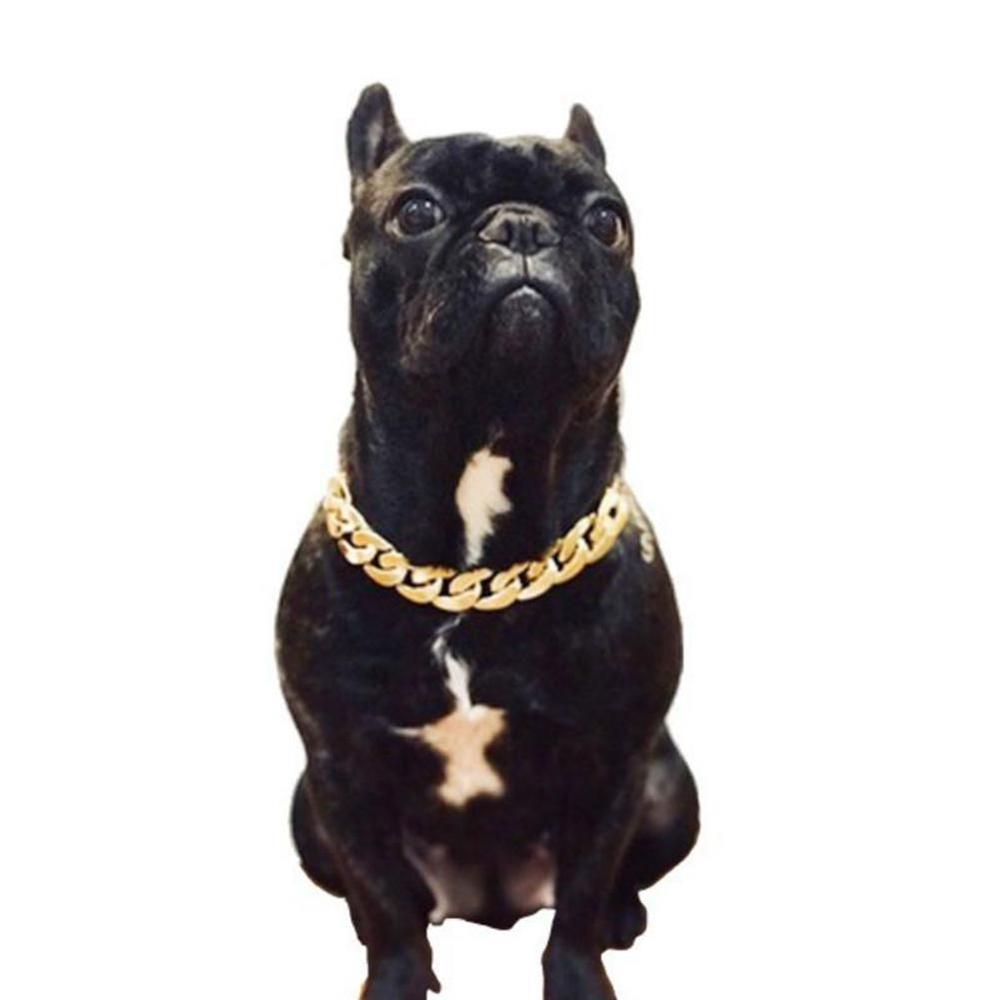 chien collier pour animaux de compagnie chaîne épaisse collier en plastique plaqué or chiot collier bijoux accessoires pendentif chaîne en or