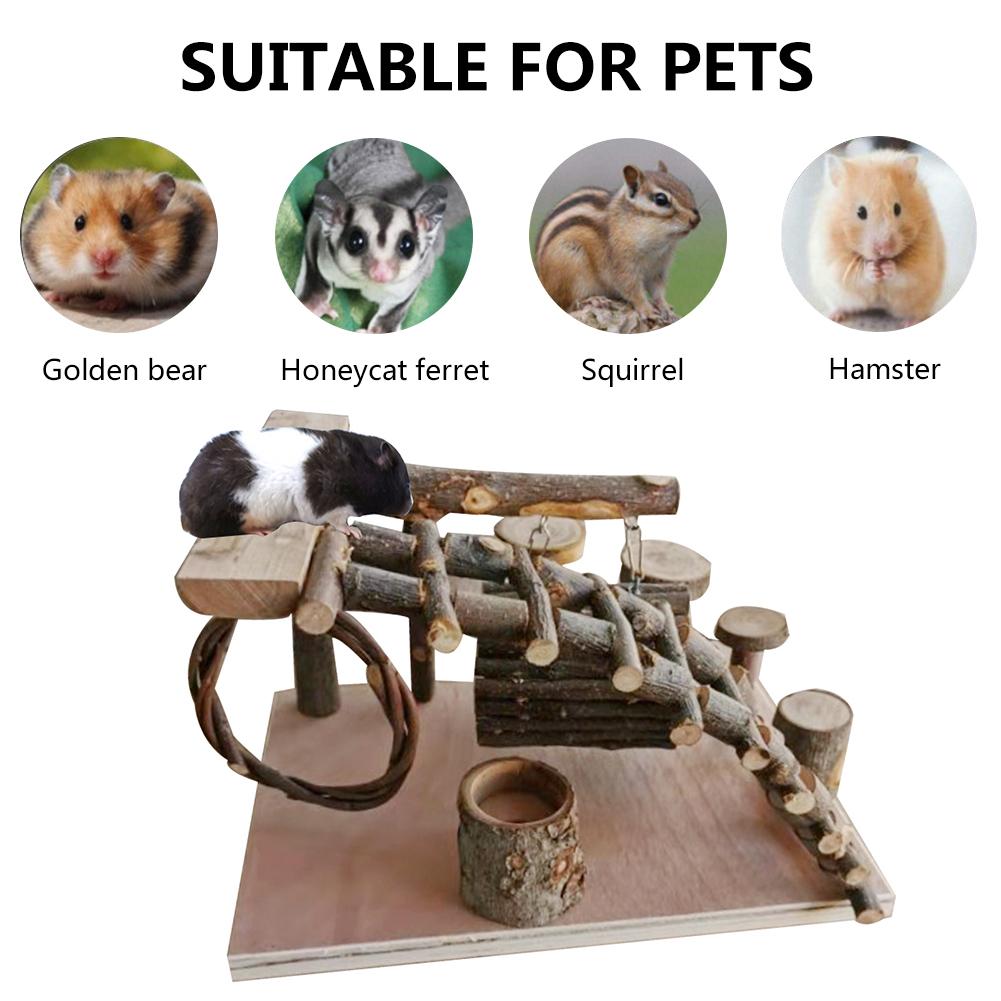Petit Hamster pour animaux de compagnie jouets échelle pomme bois Hamster escalier étape Fitness exercice jouet hamac aire de jeux petit animal domestique mangeoire