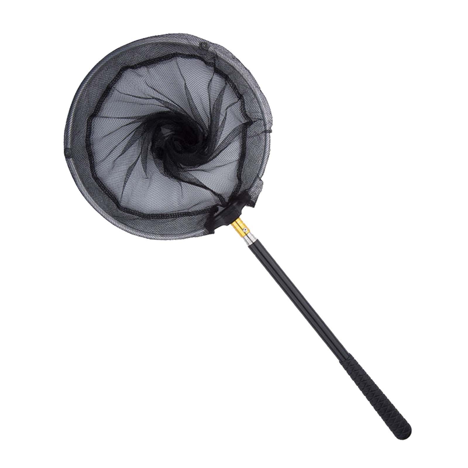 Vislandingsnet Intrekbaar Voor Vlinderratfinks Die Meerval Verzamelen