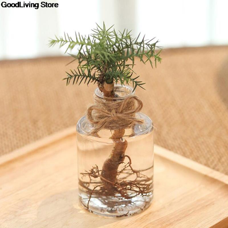 Mini florero de Jacinto de resina transparente para decoración del hogar, maceta de flores y plantas, adornos artesanales para sala de estar, jardín, decoración de escritorio, 1 ud.