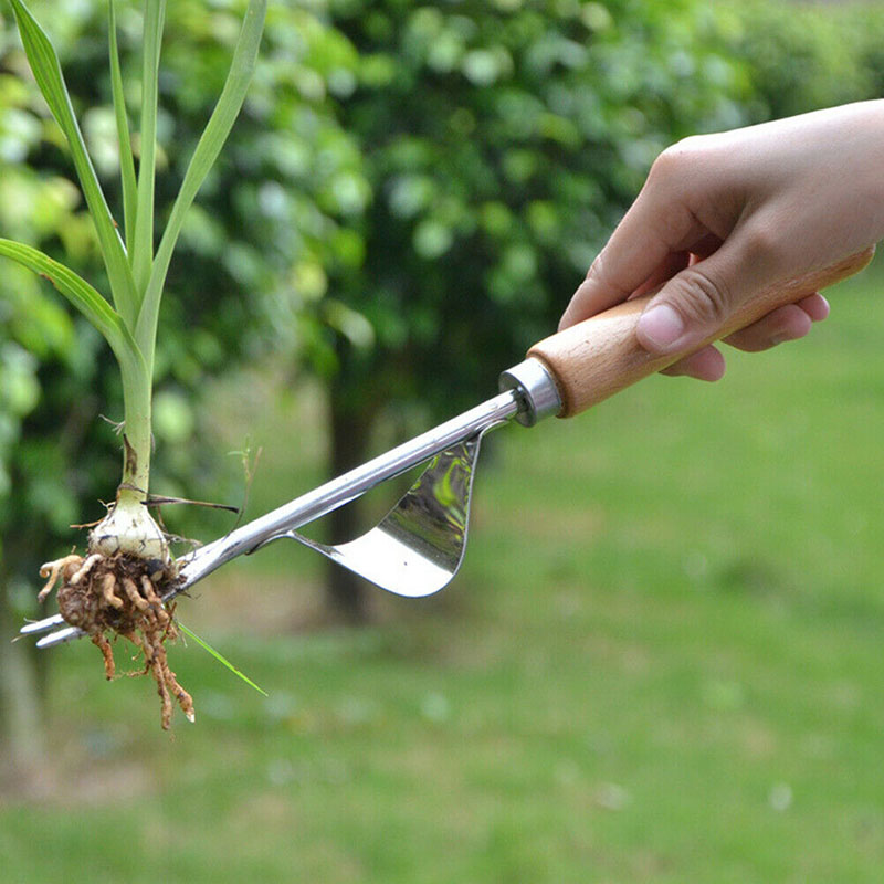 Tuin Hand Wieder Tuinieren Tool Met Houten Handvat Voor Tuin Gazon Landbouwgrond Kan Csv